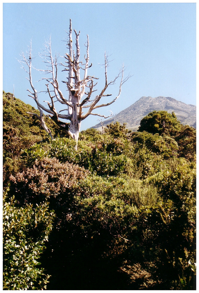 05 - Mt Egmont (8).jpg